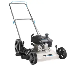 Pulsar 21" Cutting Width Gas-Powered 2-in-1 Law n Mower