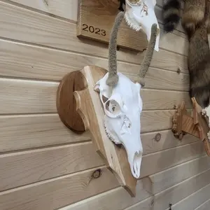 European Skull Mount Pedestal Hardwood