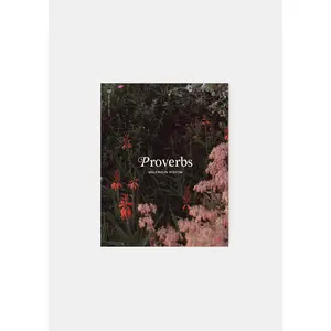 Proverbs: Walking in Wisdom Women's Reading Guide