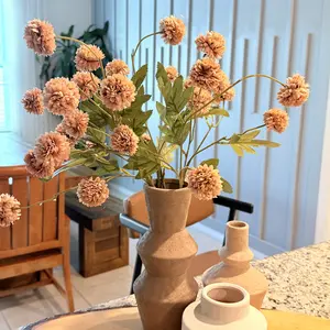 review image 5