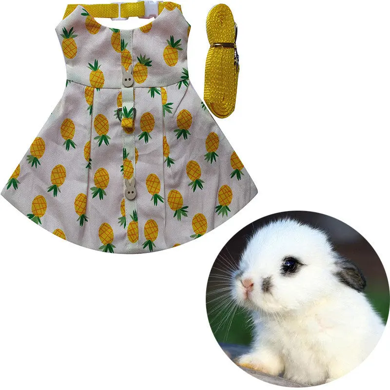 The AeroHop™ Everyday Adventure Pet Dress & Leash Set
