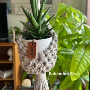 Macrame pod airplant succulent hanger