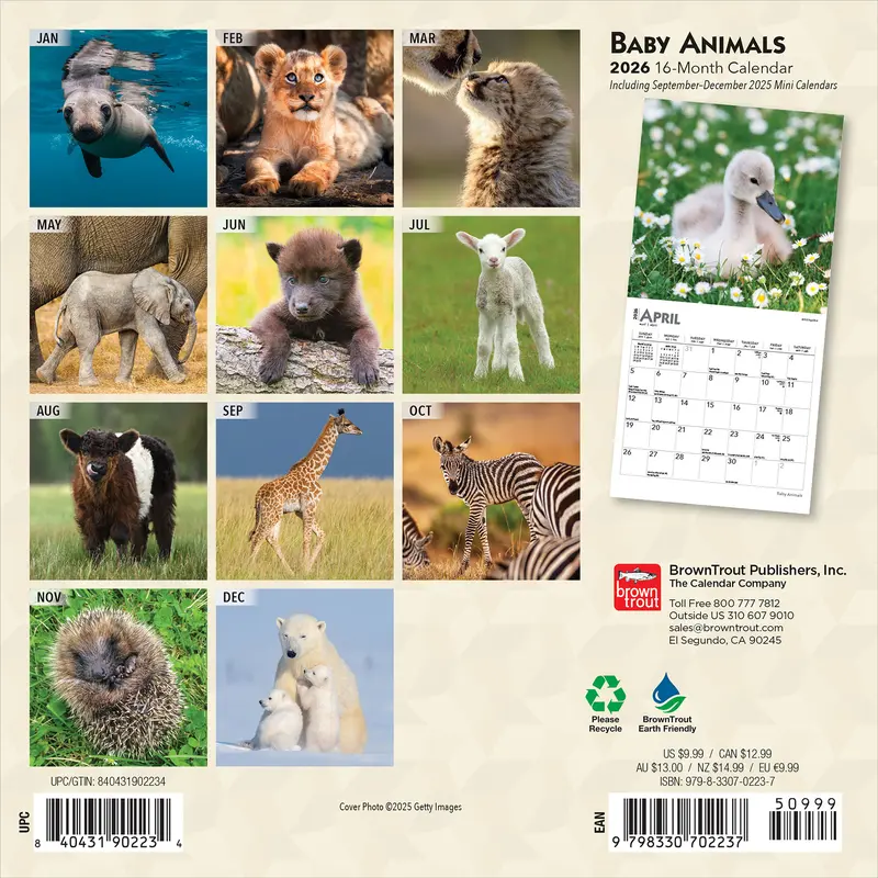 Baby Animals | 2026 7 x 14 Inch (Hanging) Monthly Mini Wall Calendar | BrownTrout | Domestic Pets Chicken Small Cute 1