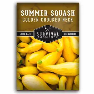 Crookneck Squash Seed - Summer Squash for Home Garden