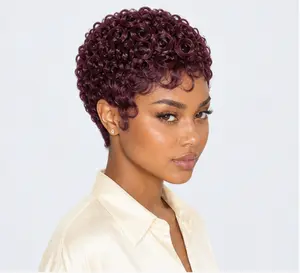 Pixie Curly Wig 12A Full Human Hair Short Pixie Cut Black Wigs Glueless Wigs for Black Women