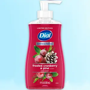 Dial Antibacterial Gold Hand Soap Original Scent 11fl oz - for Bathroom Kitchen, 11 Ounce