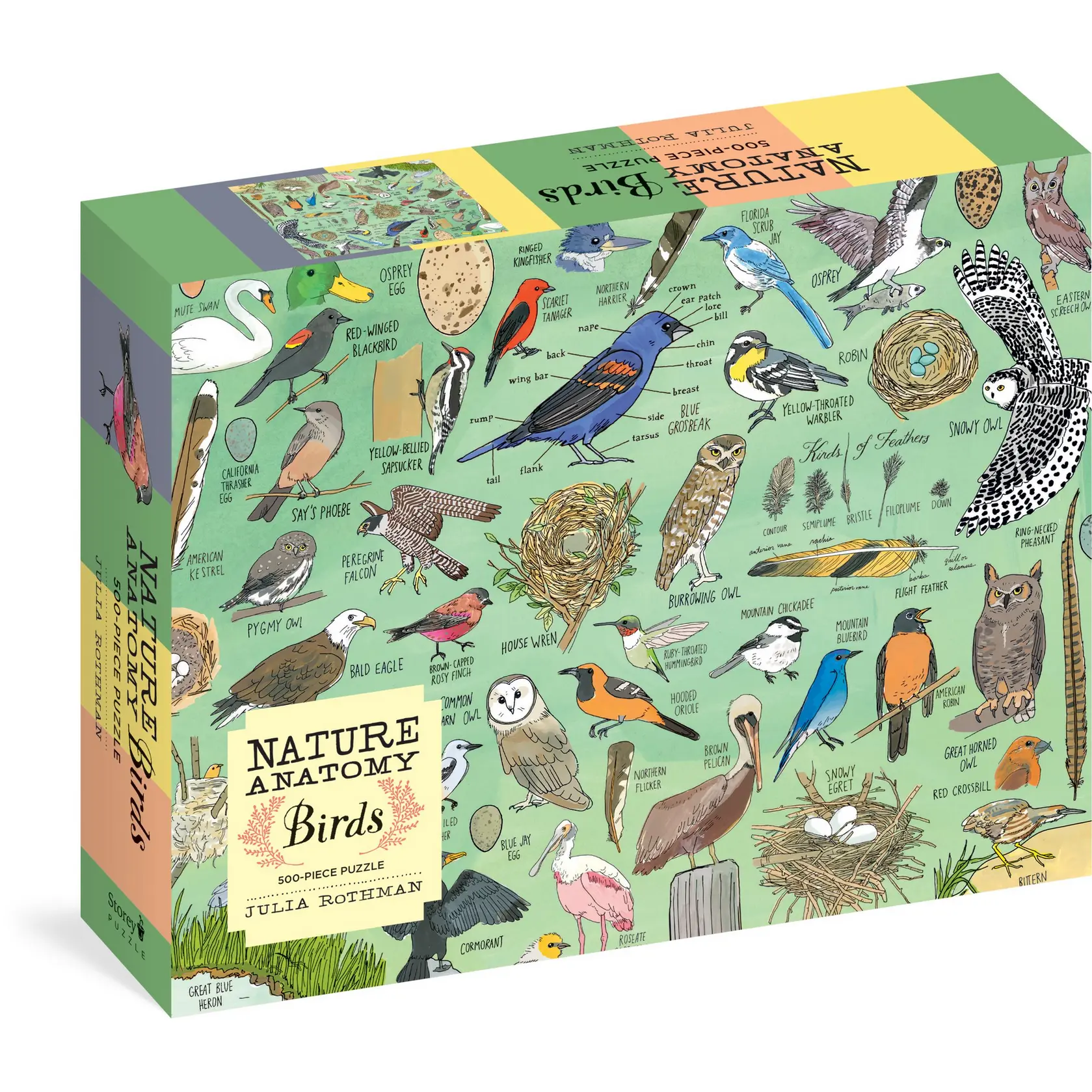 Nature Anatomy: Birds Puzzle (500 pieces)