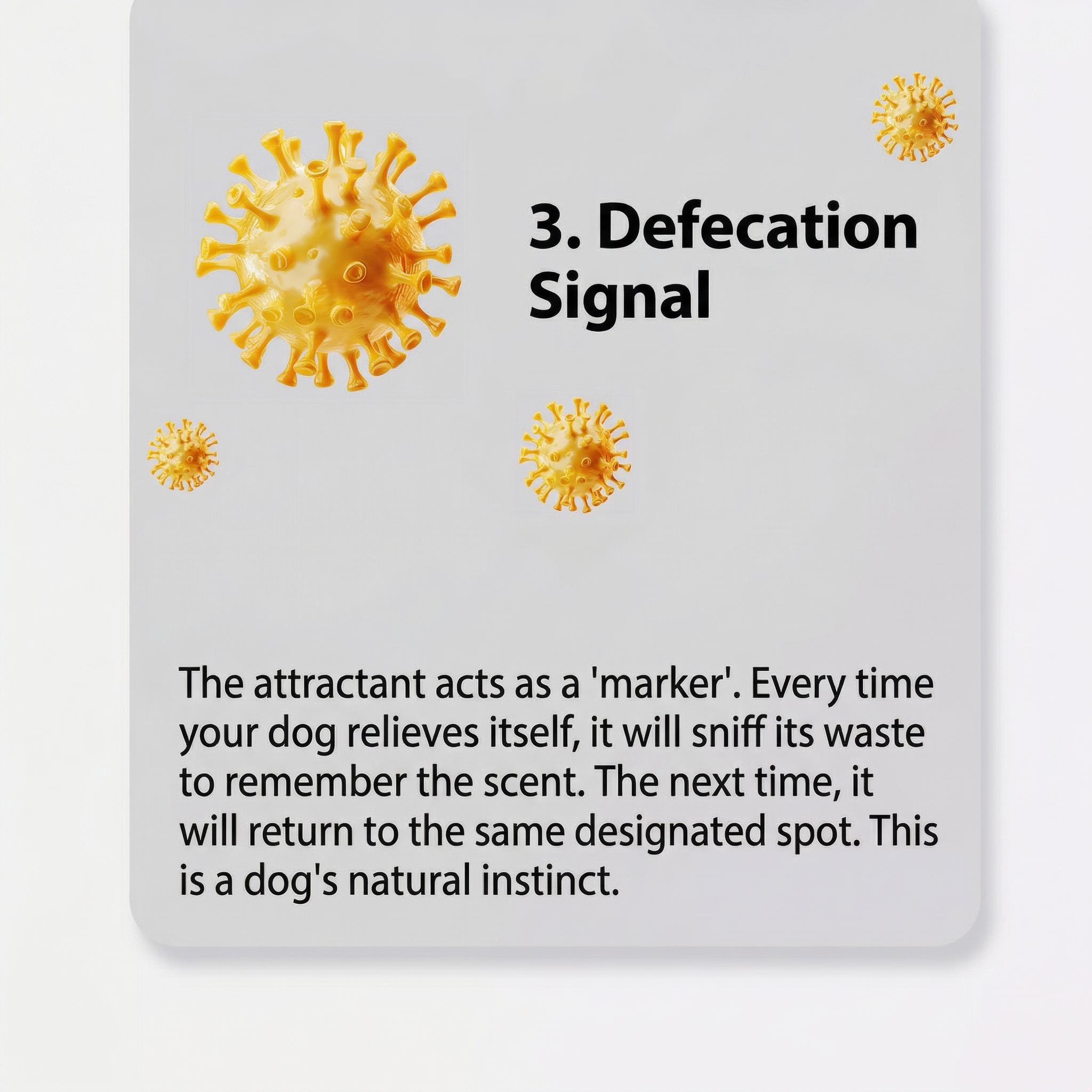 Dog Potty Training Spray | Go Here Puppy Pee Attractant Spray for Housebreaking Natural Formula Indoor & Outdoor 5 Fl OZ