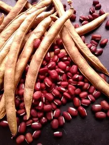 Adzuki Red Bean Seeds