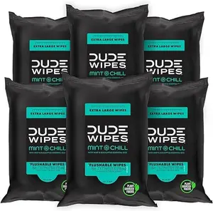 DUDE Wipes - Flushable Wipes Travel Pack - 6 Pack, 108 Wipes - Mint Chill Extra-Large Adult Wet Wipes - Vitamin-E, Aloe Vera, Eucalyptus, and Tea Tree Oils - Septic and Sewer Safe Butt Wipes