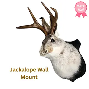 Jackalope Deer Head Wall Mount - 1PC Faux Resin Taxidermy Sculpture Rustic Animal Wall Art for Farmhouse Hunting Lodge Cabin Western Home Office Décor Unique Faux Antler Head Wall Hanging Decoration Nature Ornaments Hangable
