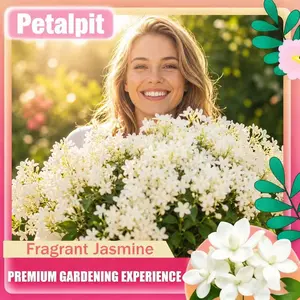 Mystery Bloom 50ct Heirloom Jasmine Seeds Purple or White Organic Non-GMO Fragrant Flowers Strong Fragrance Easy to Grow Dream Garden