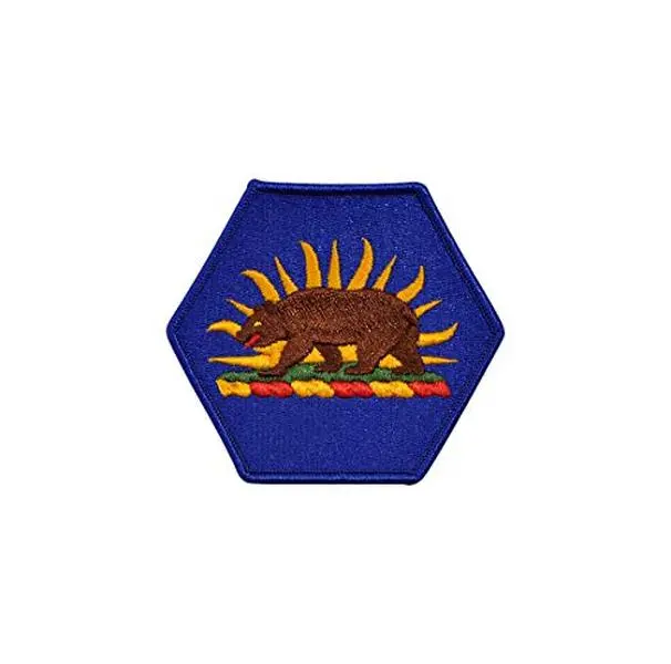 U.S. Army California National Guard Color Sew On Patch