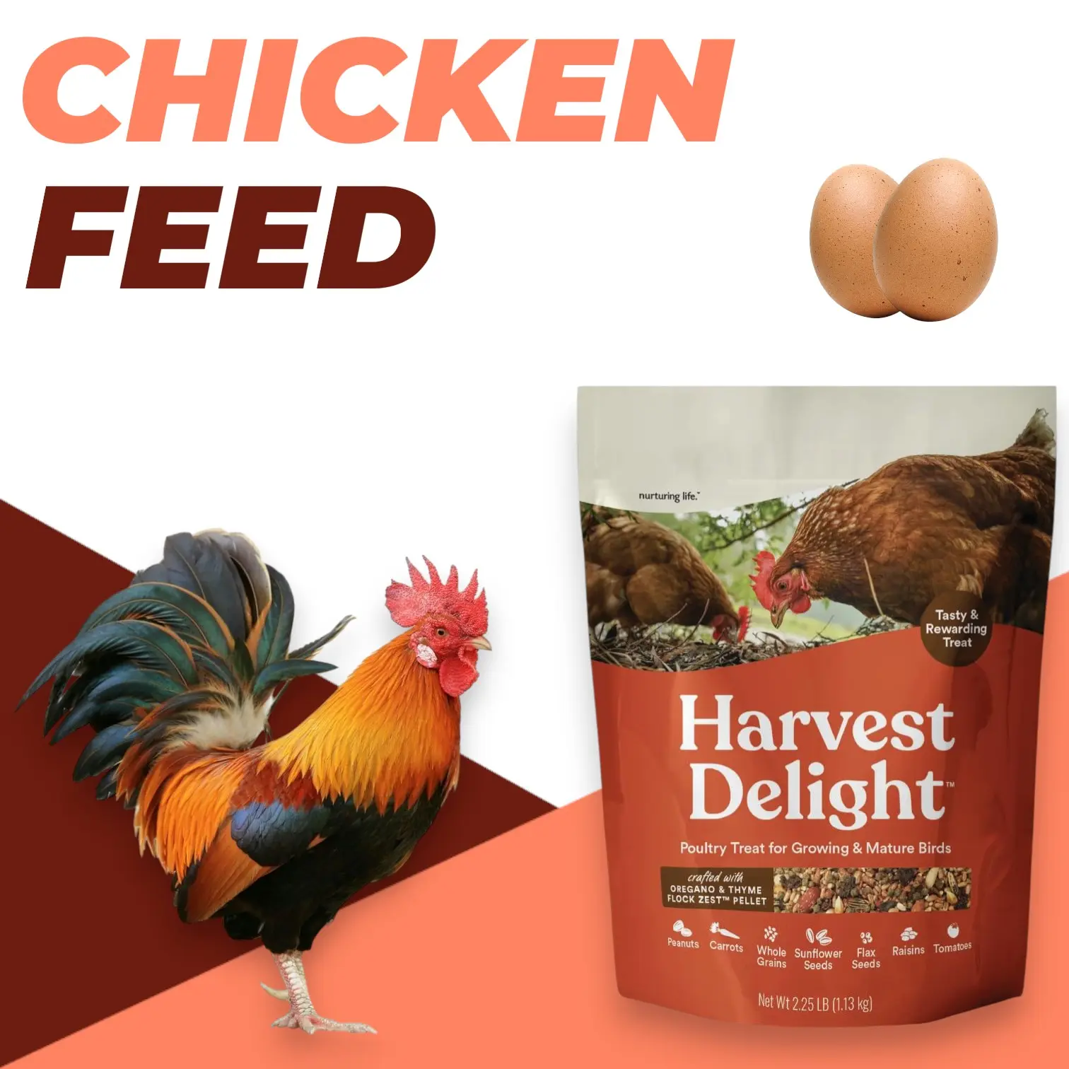 Whole Grain & Seed Poultry Treat Mix with Fruits & Vegetables for Chickens Ducks & Mixed Flocks - 14% Protein Snack, No Artificial Colors or Flavors, 2.25 lb
