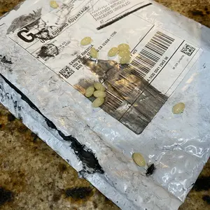 Product Review of Micro Ingredients Vitamin D3 K2 Supplement Softgels from G**s