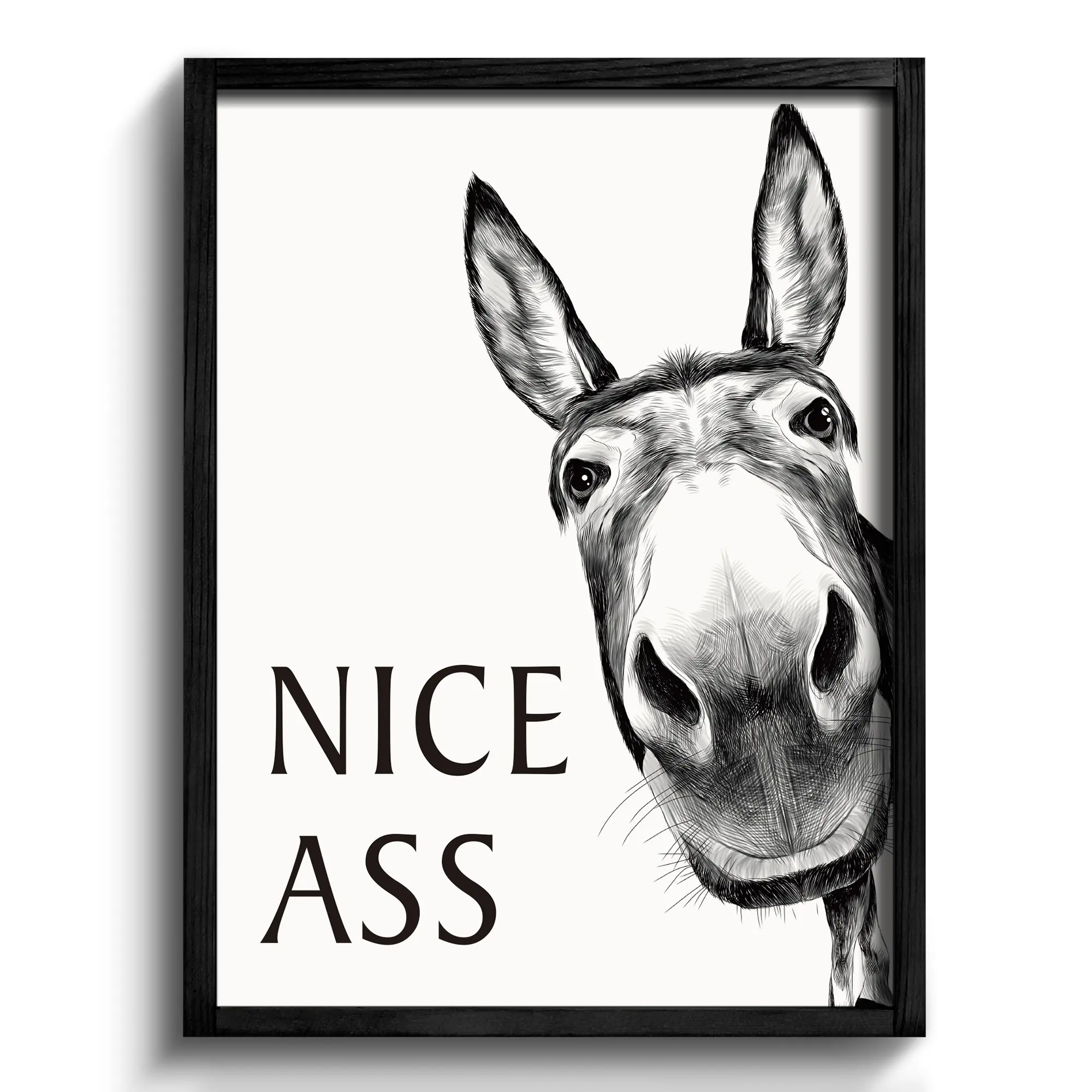 Framed Bathroom Wall Art Nice Ass, Donkey in Bathroom for Bathroom Wall Decor Farmhouse Home Bathroom Decor Sets Funny Bathroom Signs
