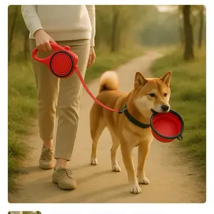 4 in-1 Durable Dog Leash with Water Bottle and Bowl for Walking and Running