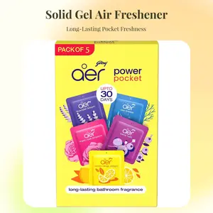 AER Power Pocket Assorted Solid Pocket Air Freshener for the Entire Home with Long Lasting Scents, Pack of 5