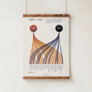 CBD v. THC Comparison Chart Print