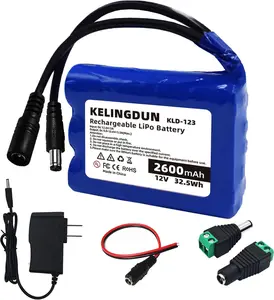 12V 2600mAh Rechargeable Lithium-ion Battery Pack for 12V Devices（CCTV Camera,Bike Light,LED Light Strip, DIY Projects,RC Car, Solar Panels）-Equipped with Charger and Adapters