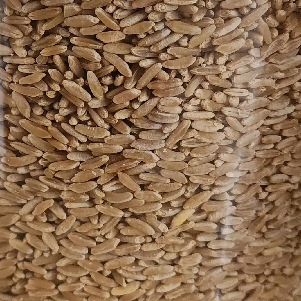 Pie Crust Mix (Whole Berry / Wheat berry)