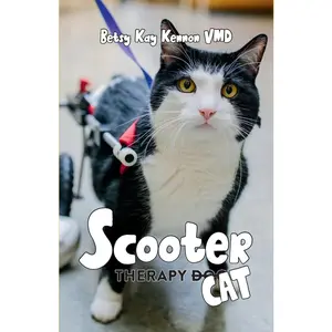 USED-Scooter: Therapy Cat by Betsy Kay Kennon VMD (Paperback)