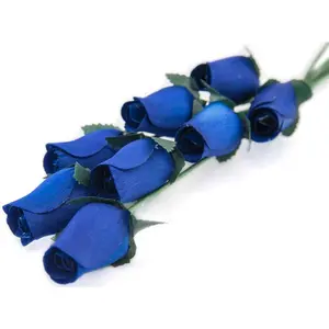 Royal Blue Closed Bud Roses 8-Pack