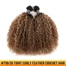 YGwigs #T1B/4, #T1B/30 Ombre Color Tight Curly Feather Crochet Human Hair Mircale Knots 60g/Bundle