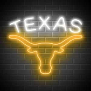 TEXAS Longhorn Neon Sign – LED Wall Light for Bedroom, Game Room, Bar – Western Rustic Decor