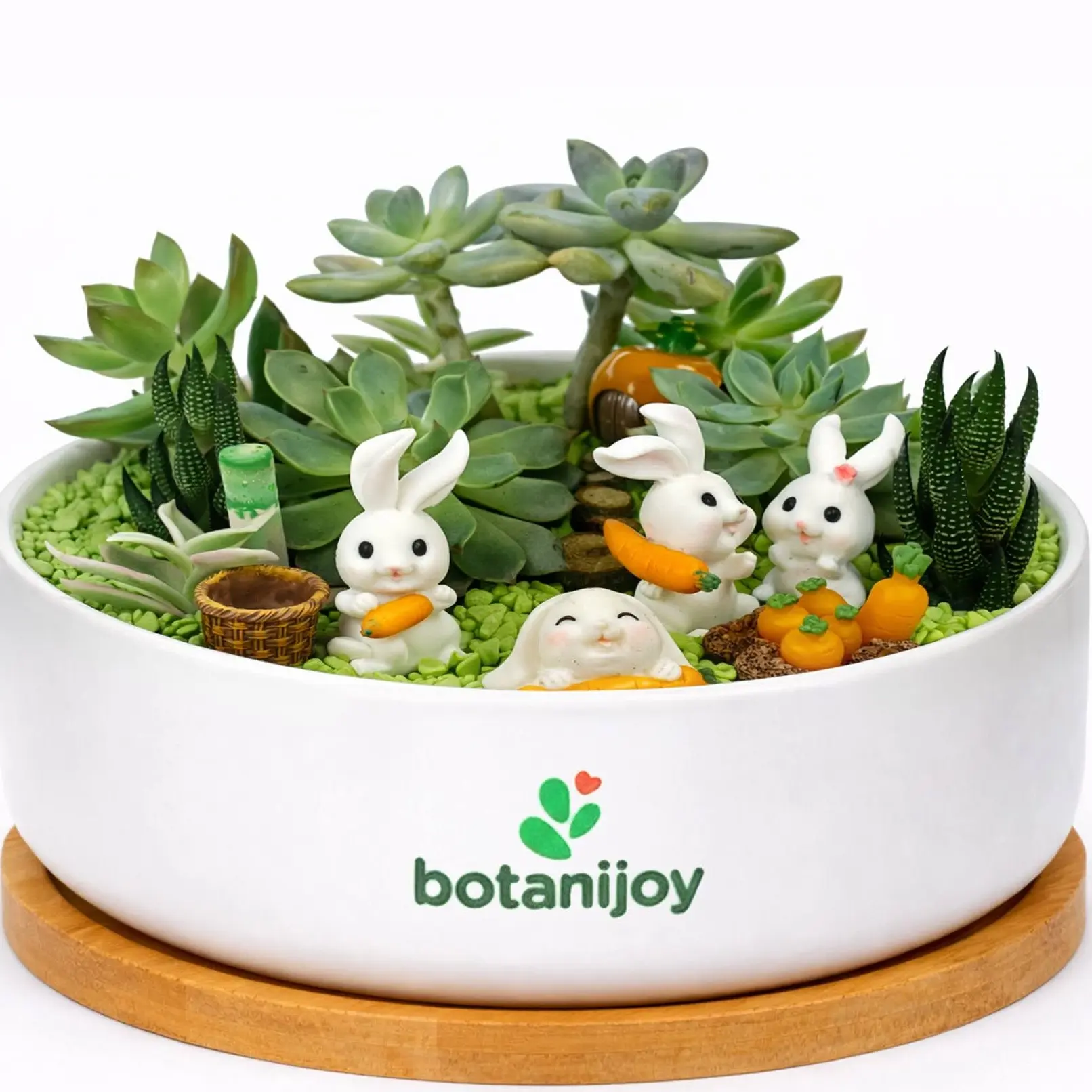 Botanijoy - Bunnies’ Harvest Day Live Plant Succulent Kit - Indoor Home Decor for Plant Lovers, Garden Supplies