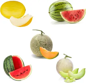Jaquelina Garden, Melon Fruit Seeds for Planting Home Garden 5 Variety Packs - Cantaloupe, Crimson Sweet Watermelon, Yellow Canary Melon, Green Flesh Honeydew Melon, Sugar Baby Watermelon