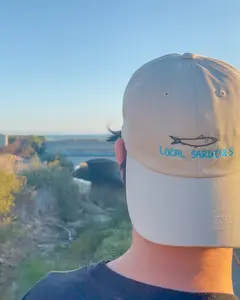 Local Sardines - Embroidered Dad Hat - 100% Cotton