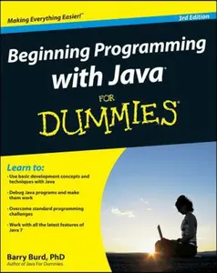 USED-Beginning Programming with Java For Dummies by Barry A. Burd (Paperback)