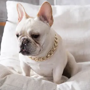Fashion No Discoloration Dog Necklace In Electroplating Cat Collar Pet Jewelry Necklace Dog Chain Puppy Cat Accessory