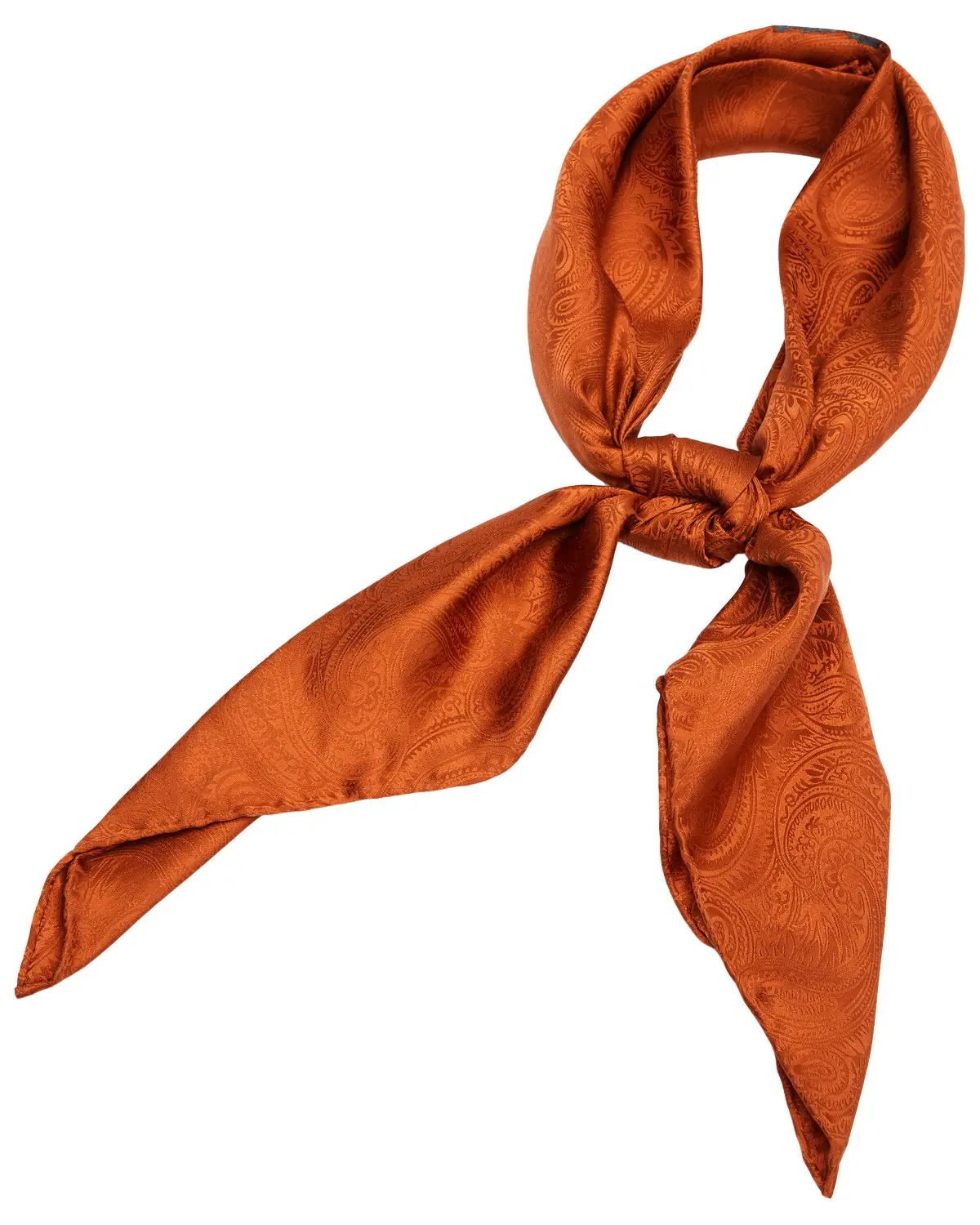 Cody James Men's Men'S Silk Jacquard Wild Rag Scarf - Cjasp21bn2
