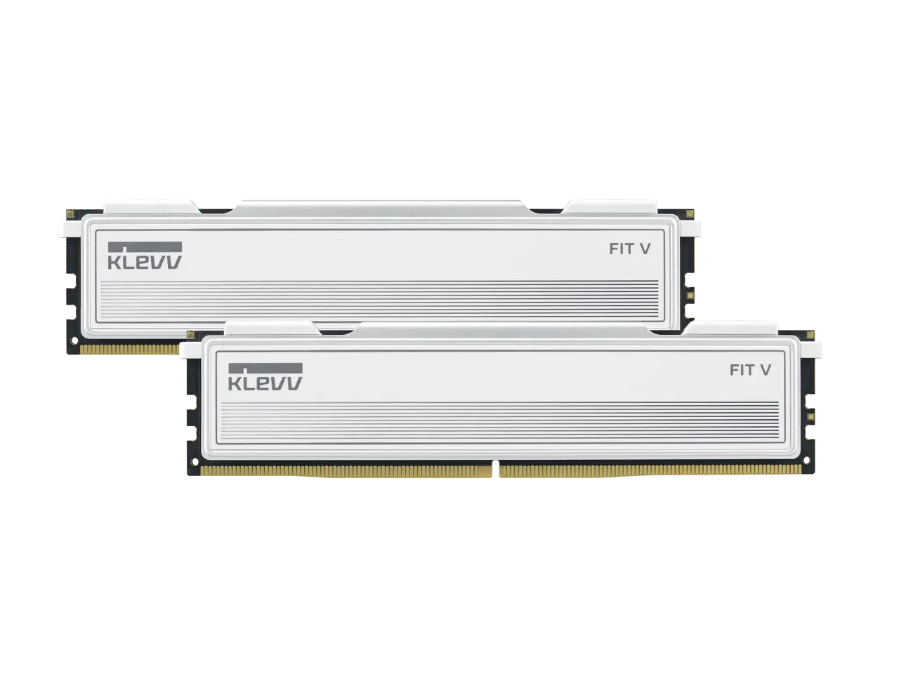 Klevv 16GB (2 x 8GB) DDR5 6000 (PC5 48000) Desktop Memory Model KD58GU880-60A300F