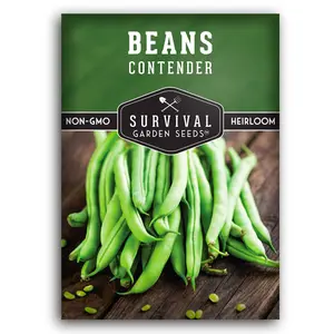 Contender Bush Bean Seeds - Early Producing Bean