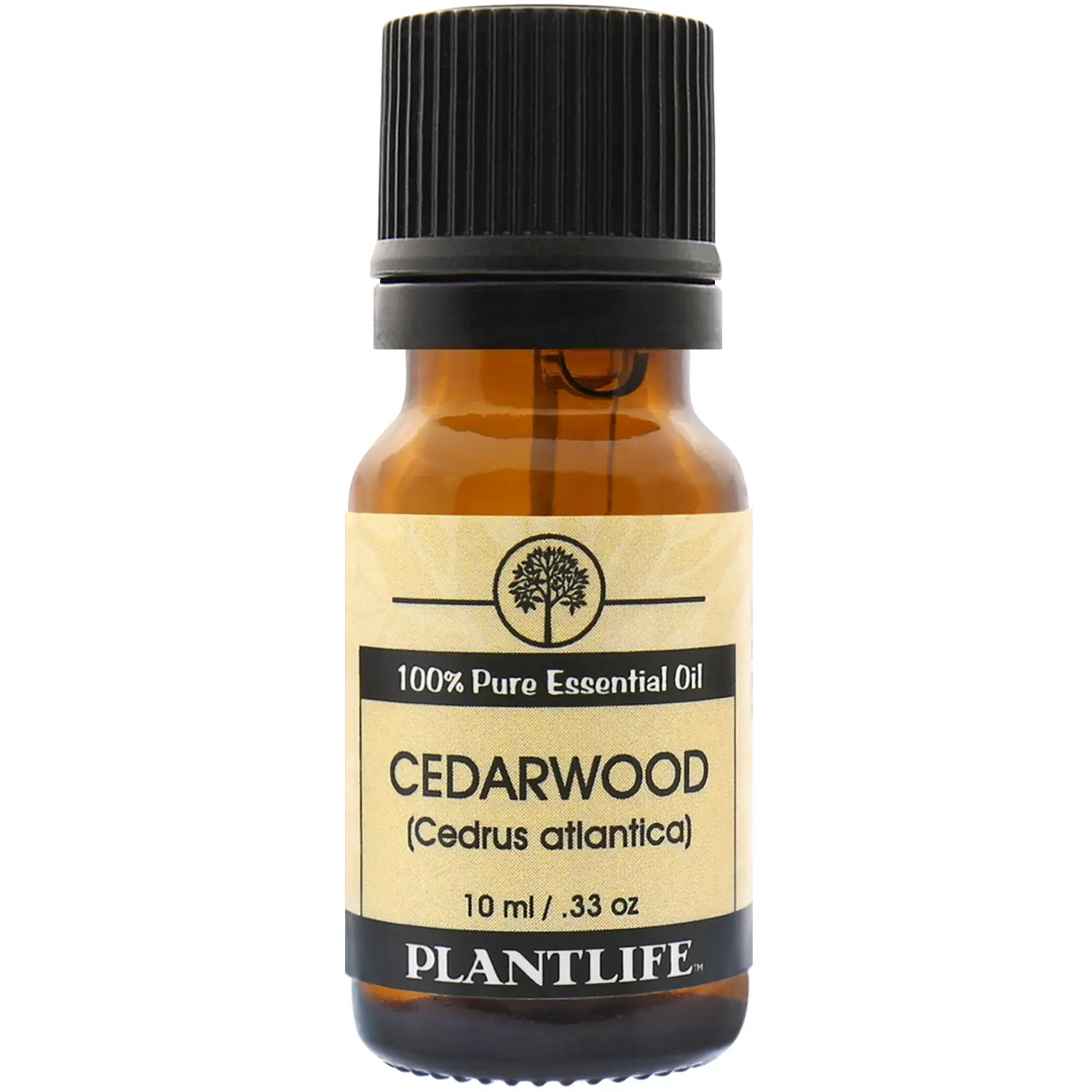 Plantlife Cedarwood Essential Oil 10 ml – Warm Woody Aromatherapy Oil