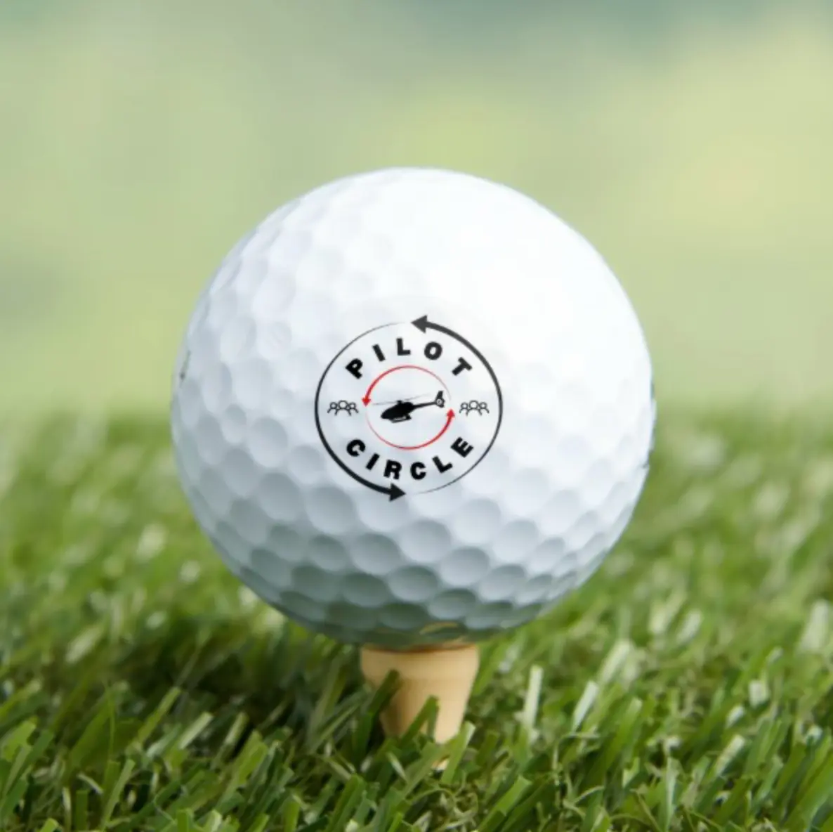 12 Pack - Bridgestone E6 Golf Balls