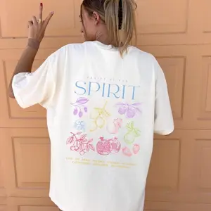 Pastel Fruit of the Spirit Shirt Christian Gifts Religious Shirt Scripture Jesus TShirt Holy Spirit Worship Faith Comfort Colors T-Shirt