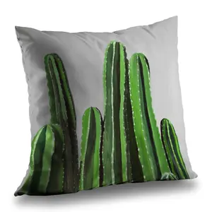 Begin Home Decor C1PT1414V3G8IR 14 x 14 in. Cactus Candles - Floral Green Poly Twill Throw Pillow Insert