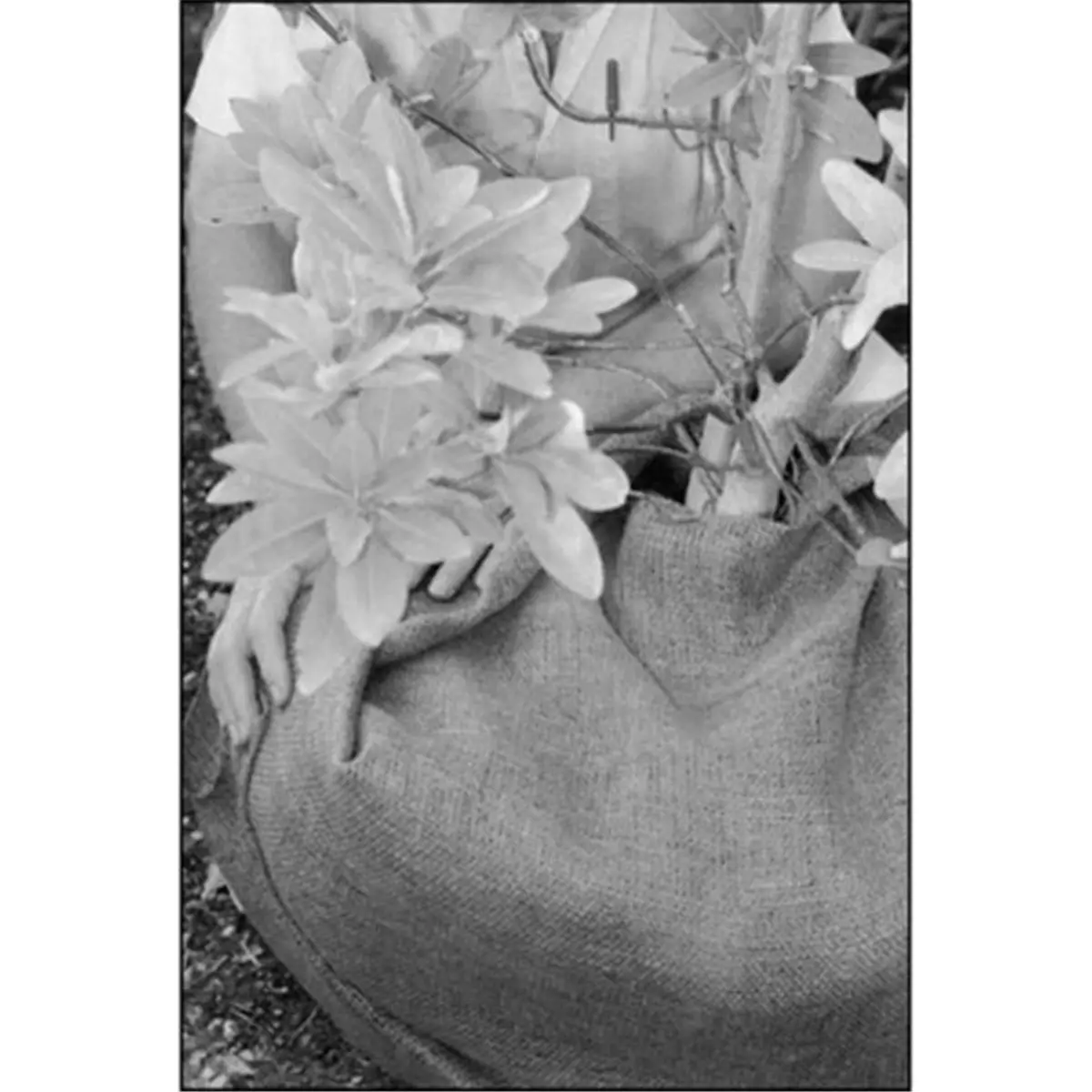 De Witt Company Burlap Weave Fabric Bulk Roll, 4 ft x 250 ft, 5.5oz, Biodegradable, Economically Priced, Ideal for Home Use & Textile Projects