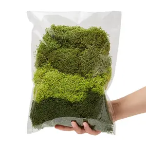100/50/20/10g Artificial Moss, Plastic Fake Greenery, Green Moss for Terrariums, Rockeries Mini Landscapes, Durable Plastic Craft Material Ideal for Christmas Decor, Scene Design, Easy to Use
