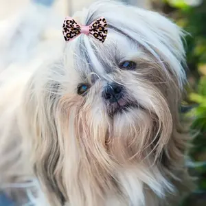 Random Color Cute Bowknot Decor Pet Hair Accessories, 1 Set Colorful Pet Hair Bows, Fashionable Pet Hair Accessories for Small Dogs, Puppy & Cats