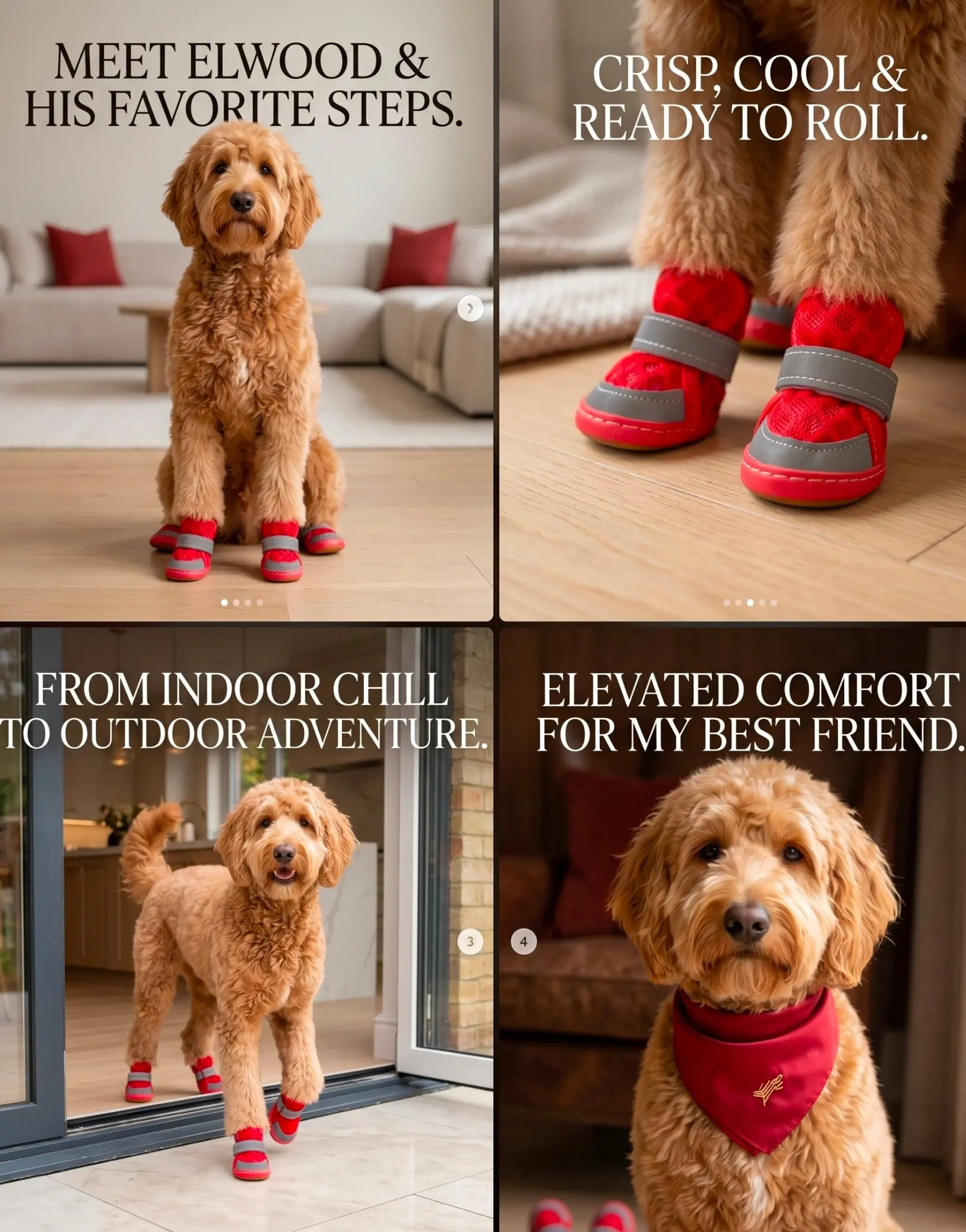 Rubber Dog Boots — Anti-Slip & Wear-Resistant | Waterproof Puppy Shoes | Blue, Green, Orange & Red | Sizes 1–5
