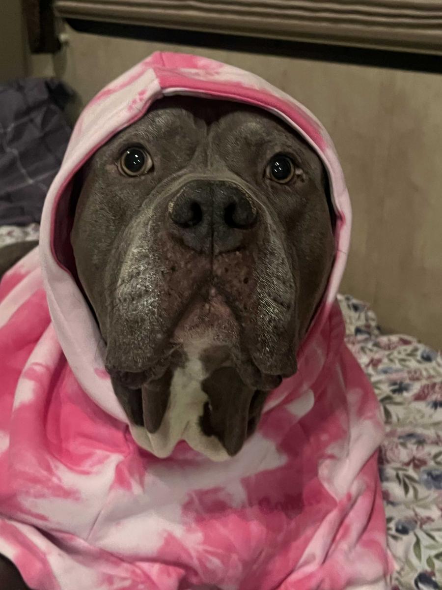 Item: Strawberry Swirl, 7X