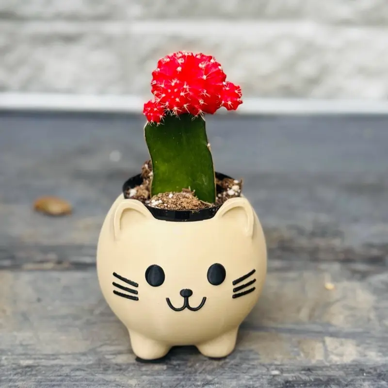Happy Cat Planter w/ Drain - Customizable Colors Adorable 3D Eyes Cheerful Smile Cute Whiskers for Small Plants or Succulents Flower Pots & Planters