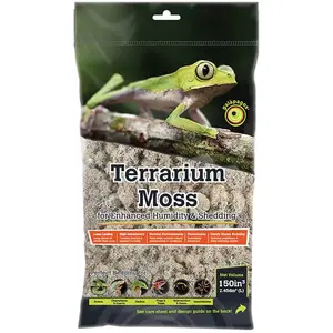 Galapagos Reindeer Moss