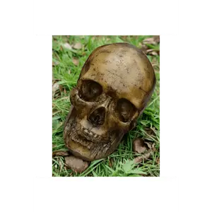 Foam Full Head Skull