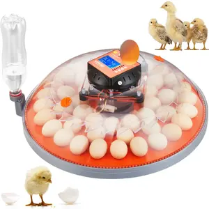 VEVOR Egg Incubator, Incubators for Hatching Eggs, Automatic Egg Turner with Temperature and Humidity Control, 24 Eggs Poultry Hatcher with ABS Transparent Shell for Chicken, Duck, QuailVEVOR Super Brand Day